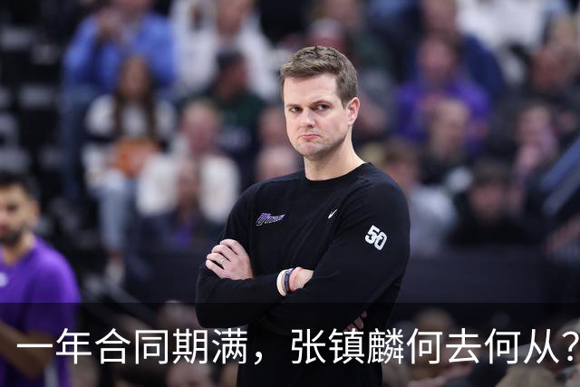 一年合同期满，张镇麟何去何从？两条路可走，看上海诚意如何了